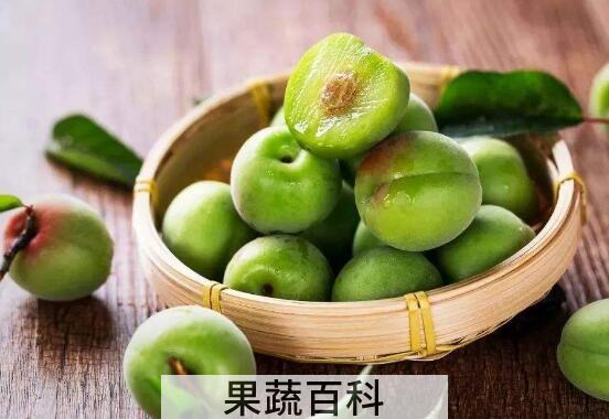 青梅乌梅的功效与作用