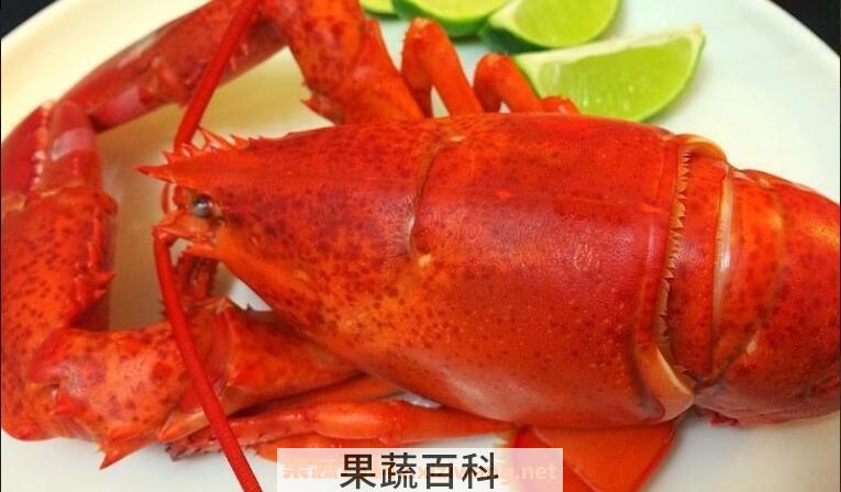 波士顿龙虾