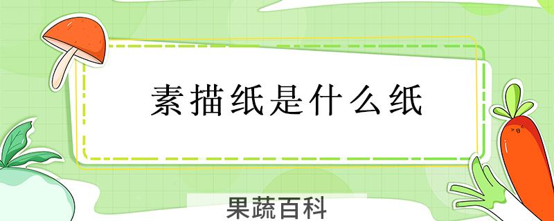素描纸是什么纸