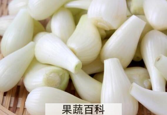 小根蒜什么人不能吃 小根蒜的副作用