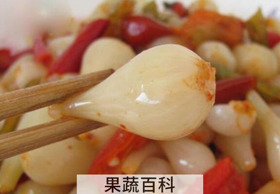 小根蒜什么人不能吃 小根蒜的副作用