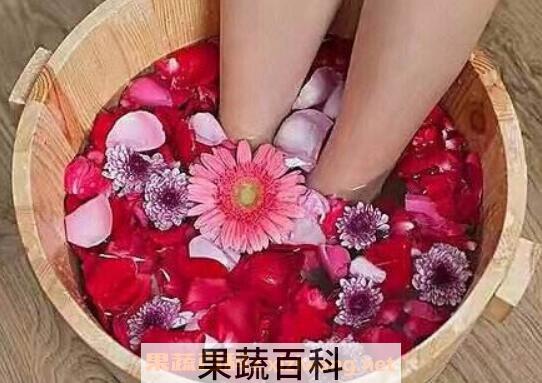 泡脚有什么好处 泡脚的好处与坏处
