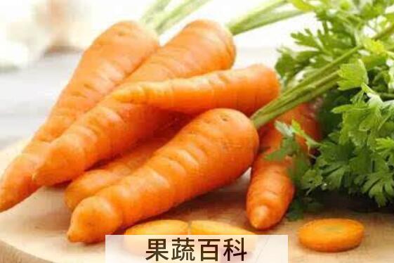 胡萝卜不能和什么一起吃 吃胡萝卜的禁忌