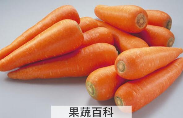 胡萝卜不能和什么一起吃 吃胡萝卜的禁忌
