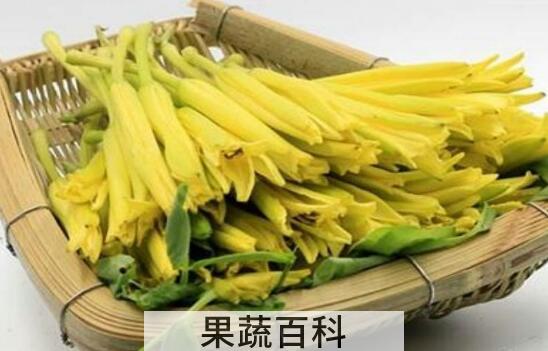 鲜针菜花的功效与作用