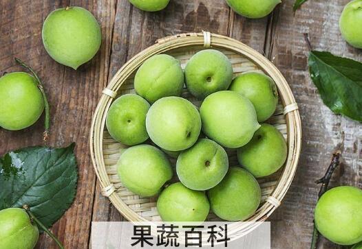 青梅酵素的功效与作用