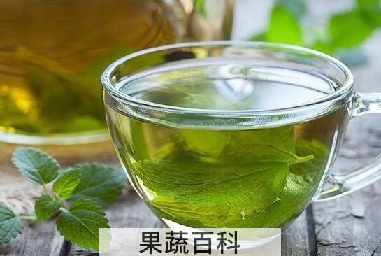 薄荷叶茶怎么做 薄荷叶茶的家常做法教程