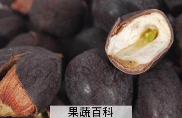 莲子壳泡茶的功效与作用
