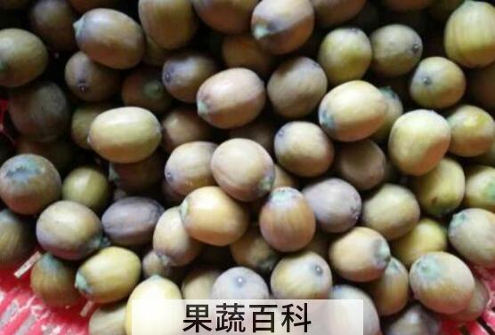 莲子壳泡茶的功效与作用