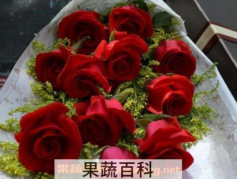 玫瑰花怎么保存