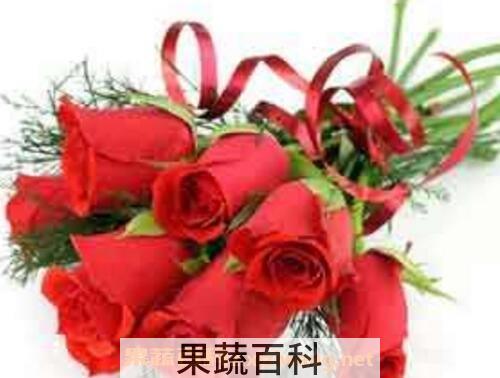 玫瑰花怎么保存
