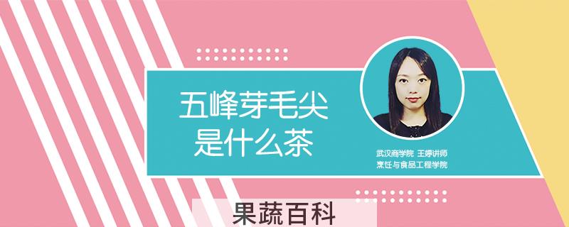 五峰芽毛尖是什么茶