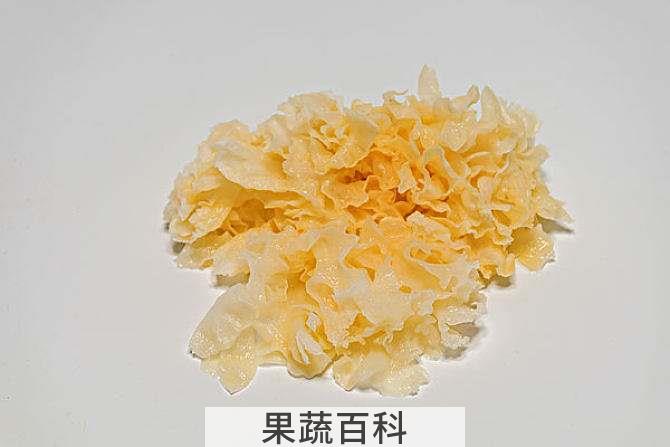 白木耳