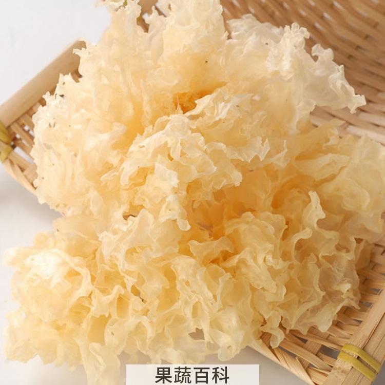 白木耳