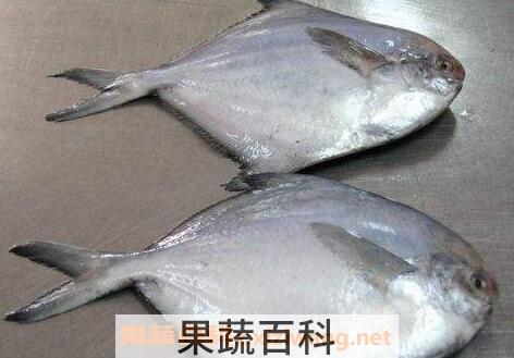 海鲳鱼怎么去腥