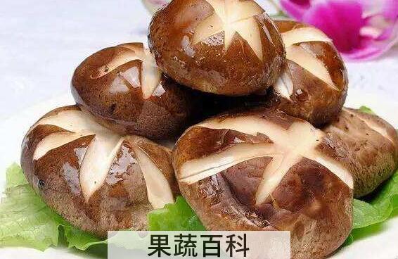香菇忌讳和什么一起煮 香菇不能和什么一起吃