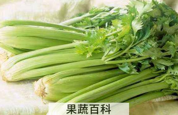 芹菜不能和什么一起吃 吃芹菜的禁忌