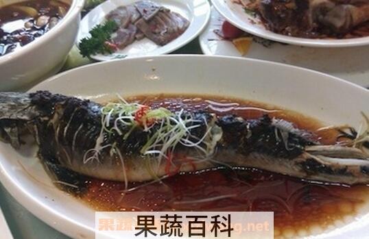 鲟鱼的营养价值与功效