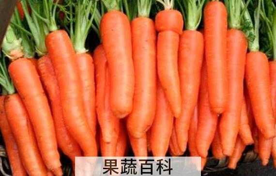 胡萝卜怎么做好吃 胡萝卜的做法儿童爱吃