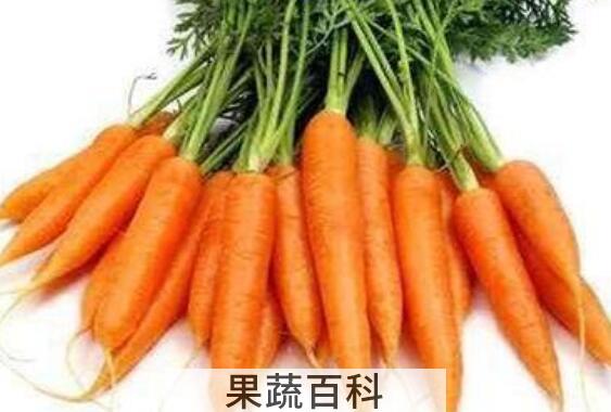 胡萝卜怎么做好吃 胡萝卜的做法儿童爱吃