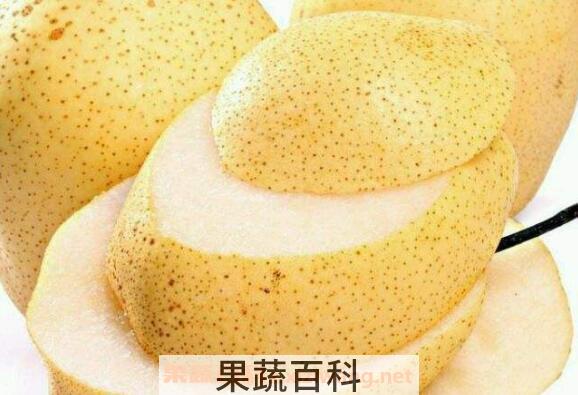 醉酒后吃什么食物最解酒 常见解酒食物介绍