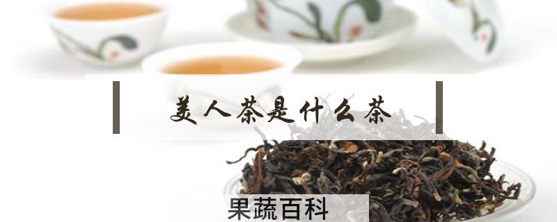 美人茶是什么茶