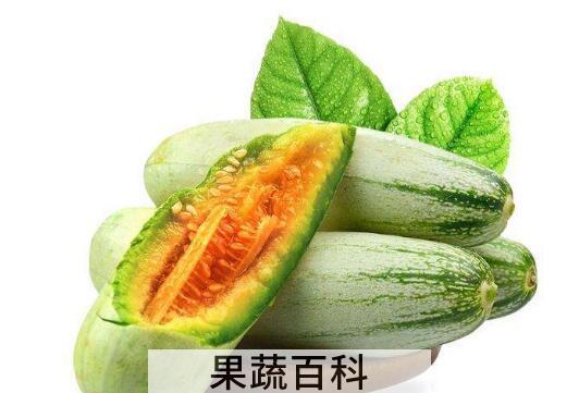 羊角脆甜瓜什么时候种 羊角脆怎么种