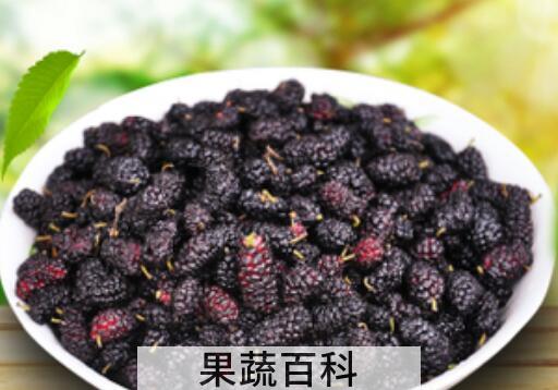 女人吃桑葚的禁忌 女人吃桑葚的好处
