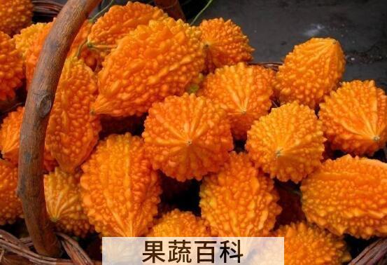 老苦瓜的功效与作用