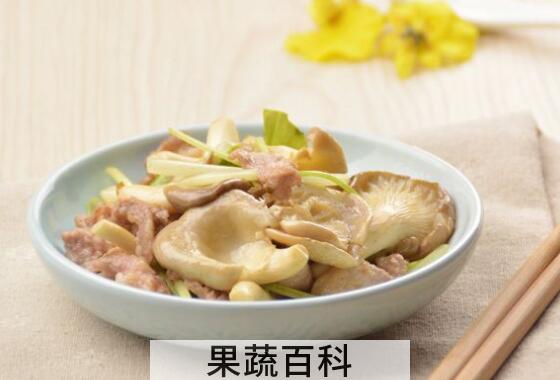 袖珍菇不能和什么一起吃 袖珍菇的副作用与禁忌