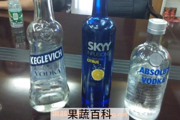 伏特加怎么喝才好喝 伏特加的正确喝法
