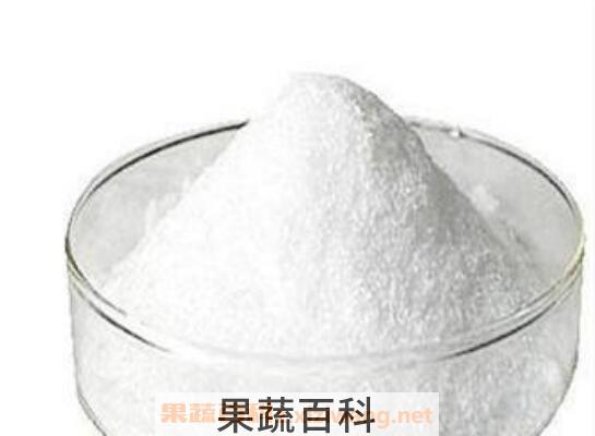 水苏糖的功效与作用