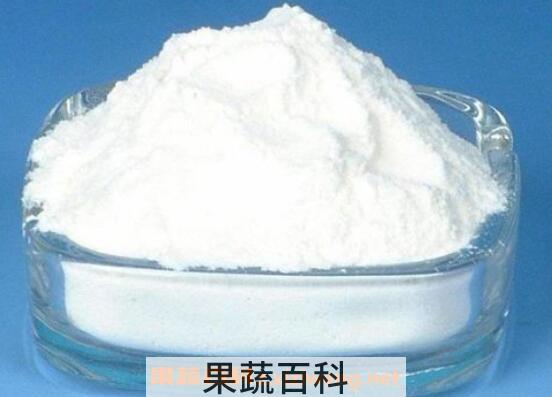 水苏糖的功效与作用