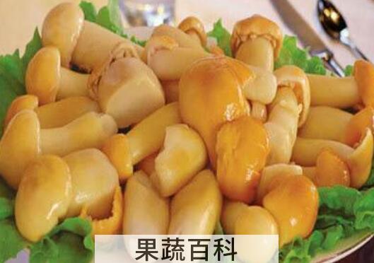 滑子菇怎么吃 滑子菇的做法大全