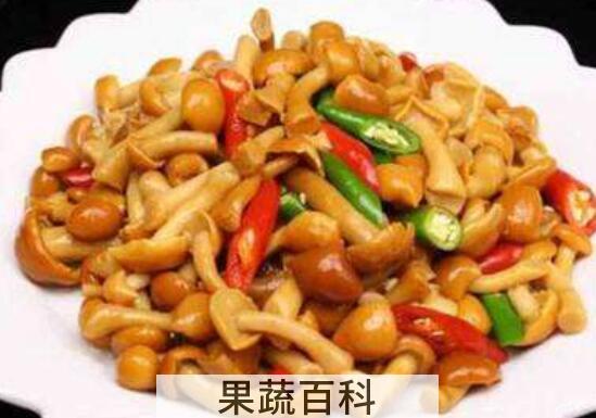滑子菇的功效与作用 吃滑子菇的好处