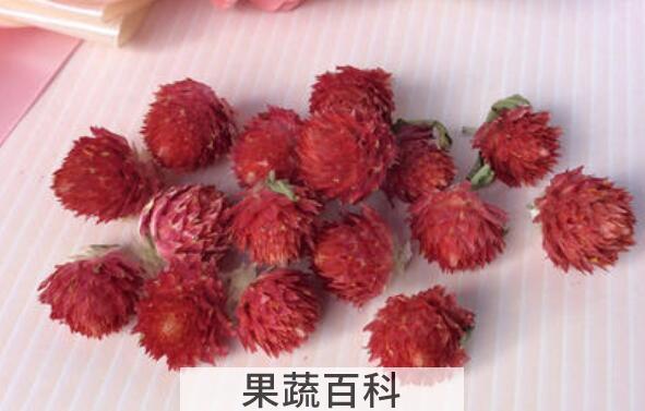 红梅花茶的功效与作用及禁忌