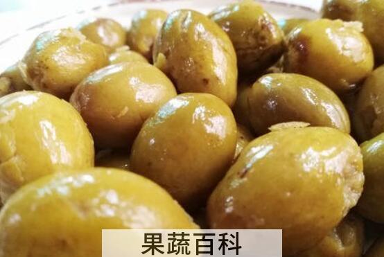 青橄榄的功效与作用及禁忌
