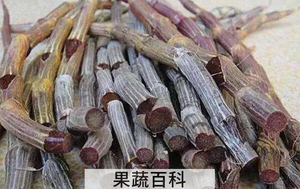 紫皮石斛怎么种