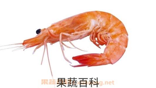 虾