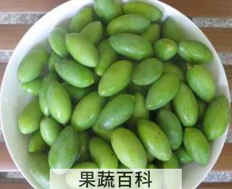 新鲜青果怎么吃最好 青果的食用方法技巧