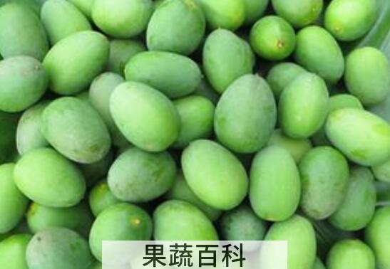 新鲜青果怎么吃最好 青果的食用方法技巧