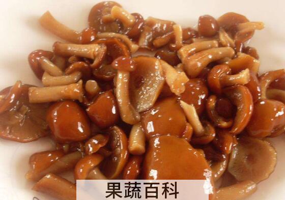 滑子蘑的功效与作用 滑子蘑的营养价值