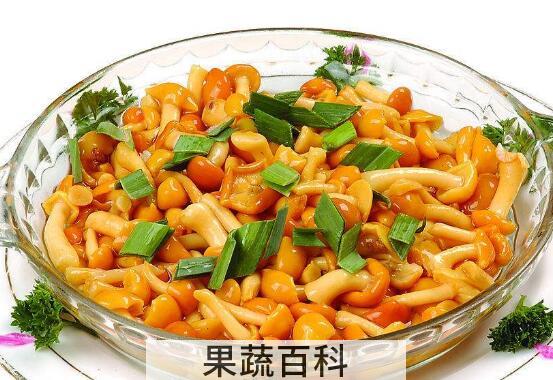 滑子蘑和什么炒好吃 滑子蘑的做法大全