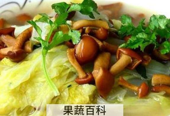 滑子蘑和什么炒好吃 滑子蘑的做法大全