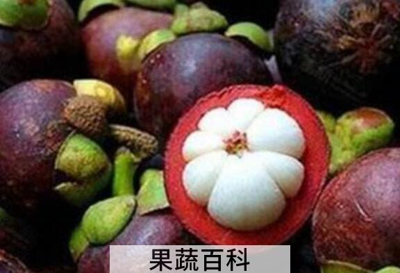 山竹壳泡水喝的功效与作用 山竹壳煮水喝的功效