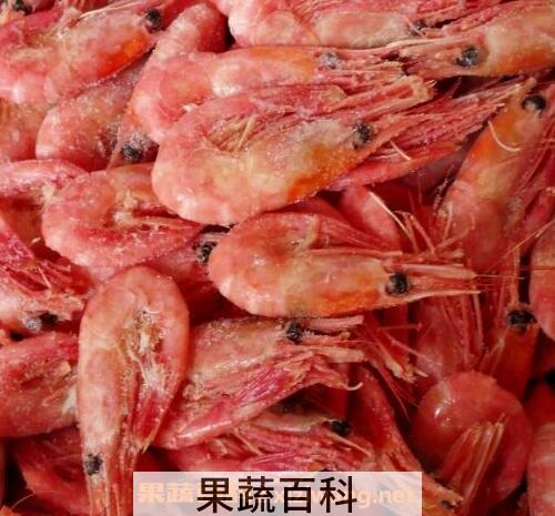 北极虾头籽