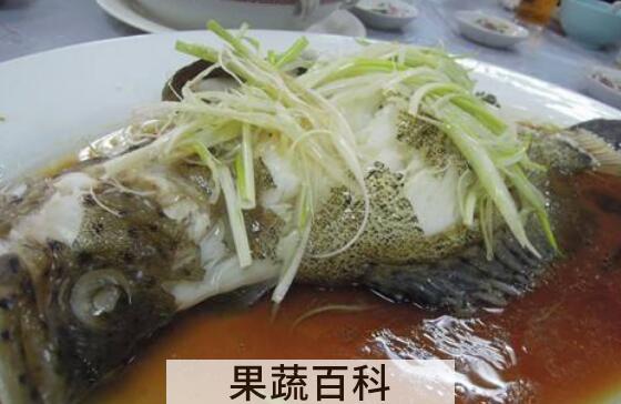 老鼠鱼怎么做好吃 老鼠鱼的做法教程