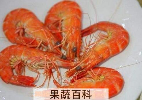 九节虾的营养价值与功效