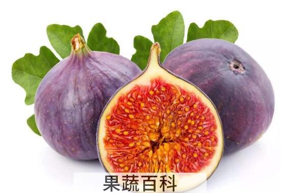 无花果可以直接吃皮吗 无花果皮怎么吃