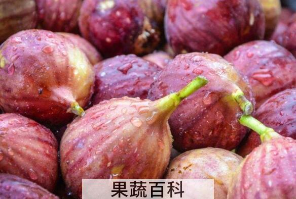 无花果可以直接吃皮吗 无花果皮怎么吃
